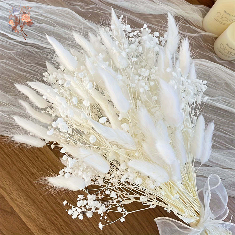 Dried Flower Bouquet - 54 pezzi di fiori secchi bianchi