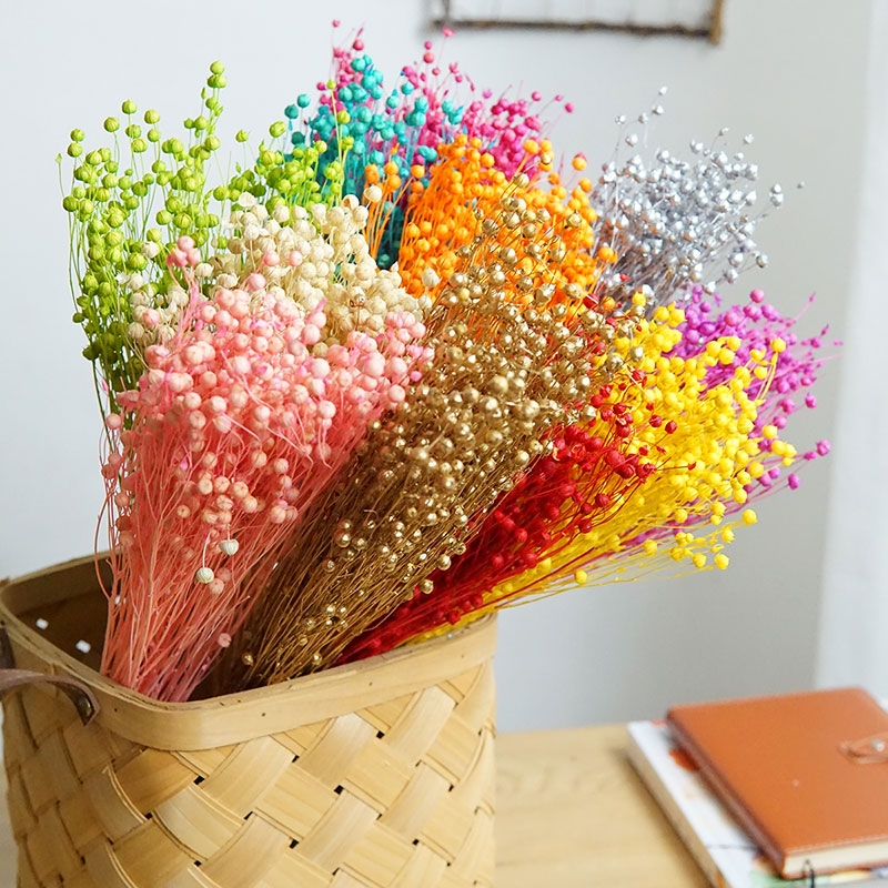 35g/Ormosia Hosiei conservato  - Dried Flower Bouquet recensione e prezzo