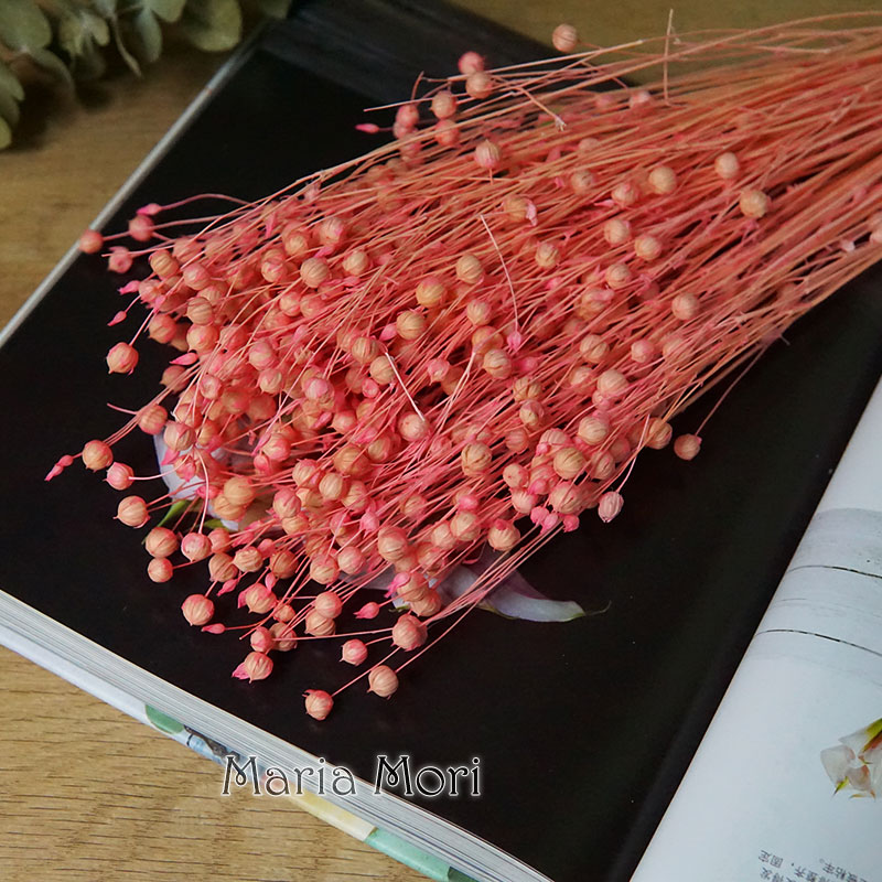 35g/Ormosia Hosiei conservato  - Dried Flower Bouquet recensione e prezzo