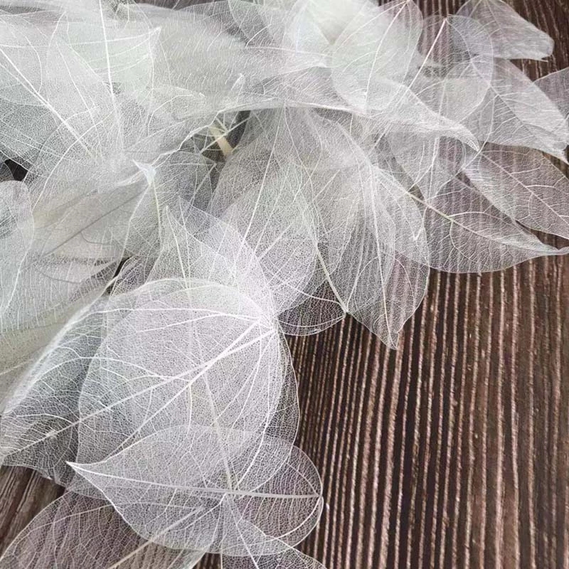 5 ~ 9CM * 2 ~ 3,5CM, 100 pezzi - Dried Flower Bouquet recensione e prezzo