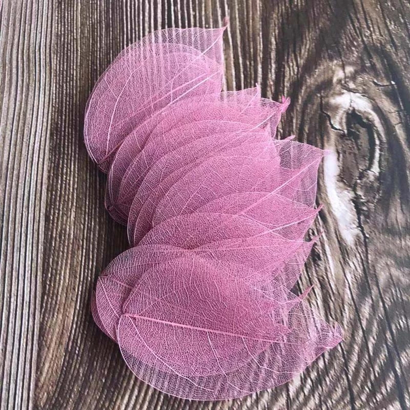 5 ~ 9CM * 2 ~ 3,5CM, 100 pezzi - Dried Flower Bouquet recensione e prezzo