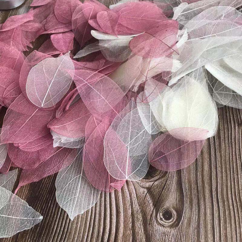 5 ~ 9CM * 2 ~ 3,5CM, 100 pezzi - Dried Flower Bouquet recensione e prezzo