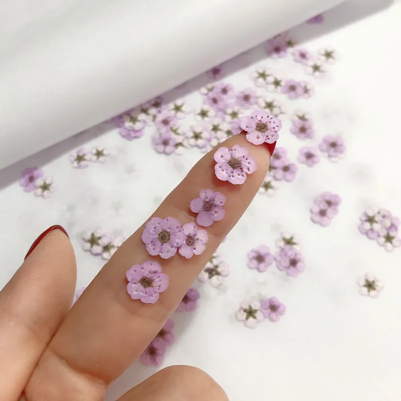 Fiori Secchi Pressati di Narci - Dried Flower Bouquet recensione e prezzo