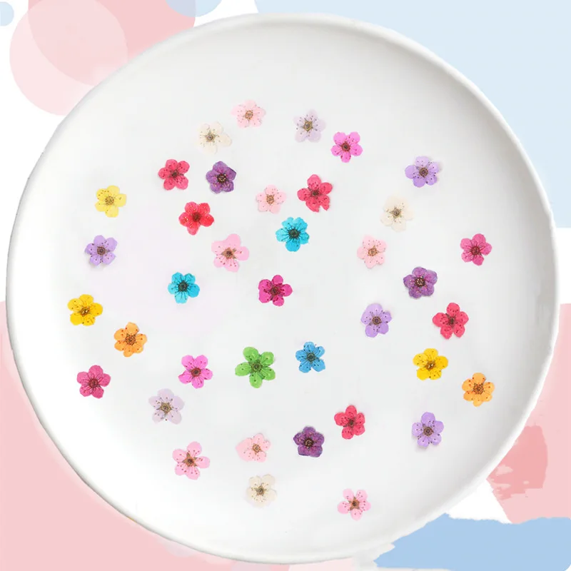 Fiori Secchi Pressati di Narci - Dried Flower Bouquet recensione e prezzo