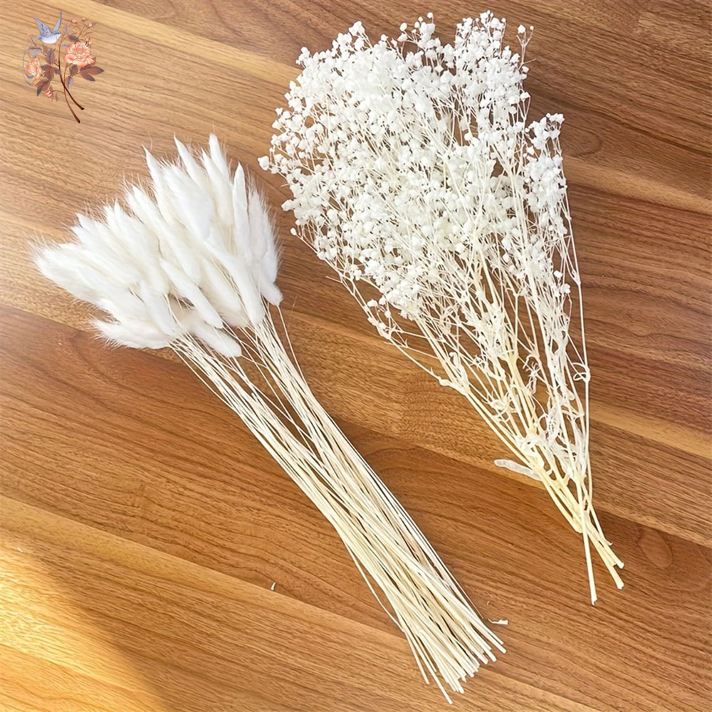 54 pezzi di fiori secchi bianc - Dried Flower Bouquet recensione e prezzo