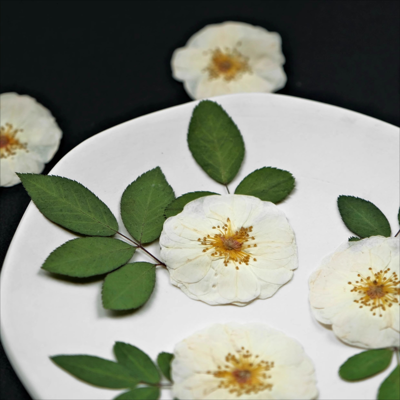 6 pezzi, 9 pezzi, rosa bianca  - Dried Flower Bouquet recensione e prezzo