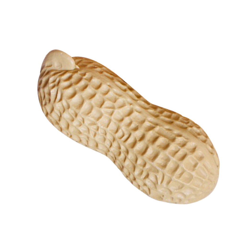 Ornamento Realistico a Forma d - Home Decor Retail Stores recensione e prezzo