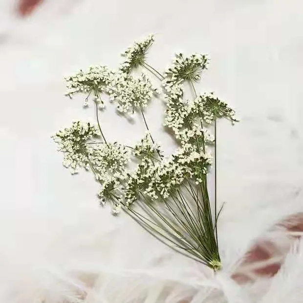 5-7 cm/12 pezzi, piccoli fiori - Dried Flower Bouquet recensione e prezzo
