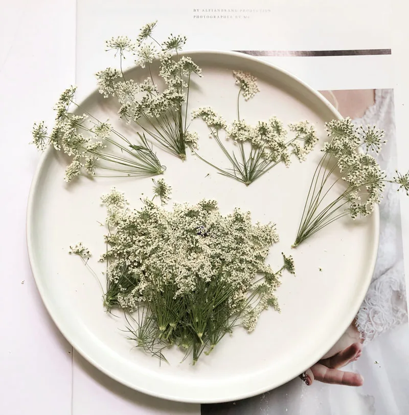 5-7 cm/12 pezzi, piccoli fiori - Dried Flower Bouquet recensione e prezzo
