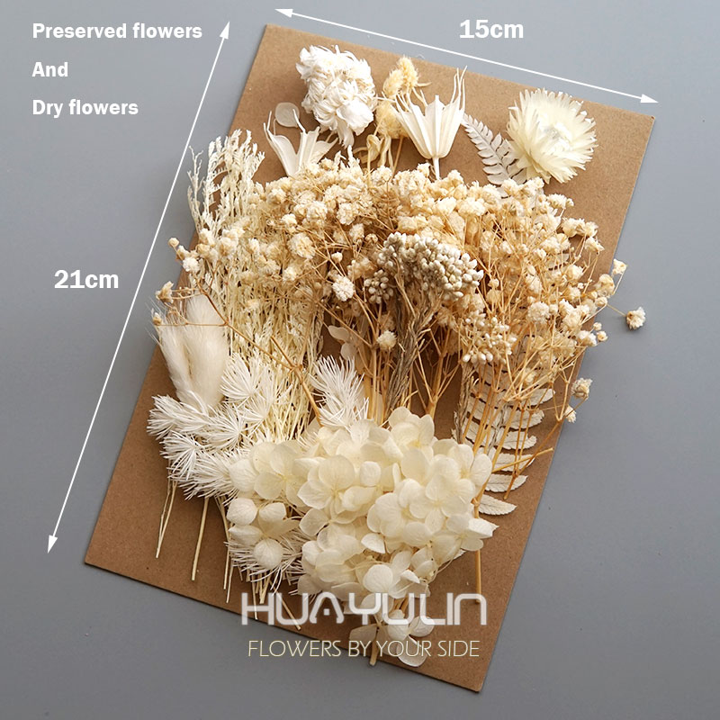 1 confezione di piante artific - Dried Flower Bouquet recensione e prezzo
