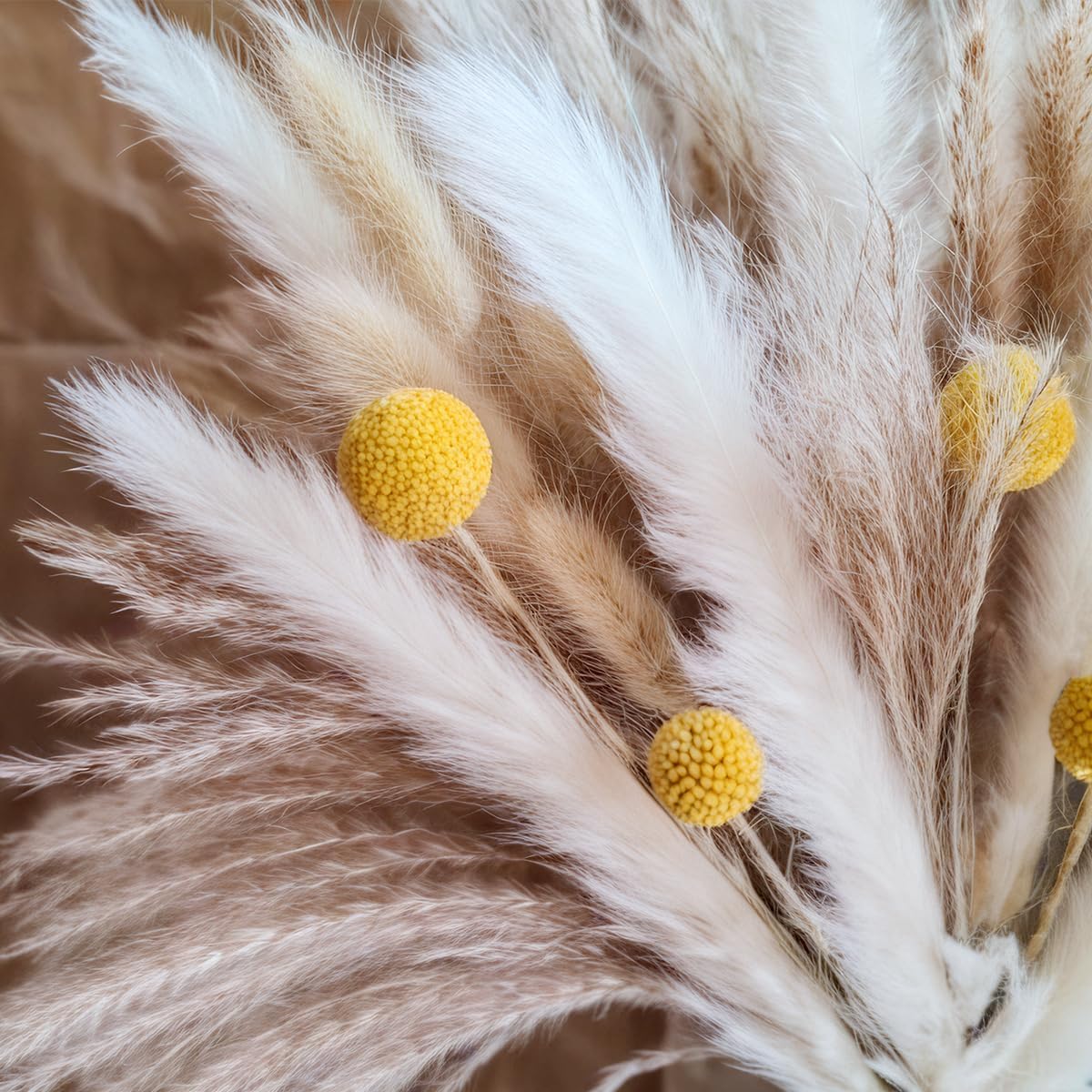 Bouquet di Erba della Pampa Es - Dried Flower Bouquet recensione e prezzo
