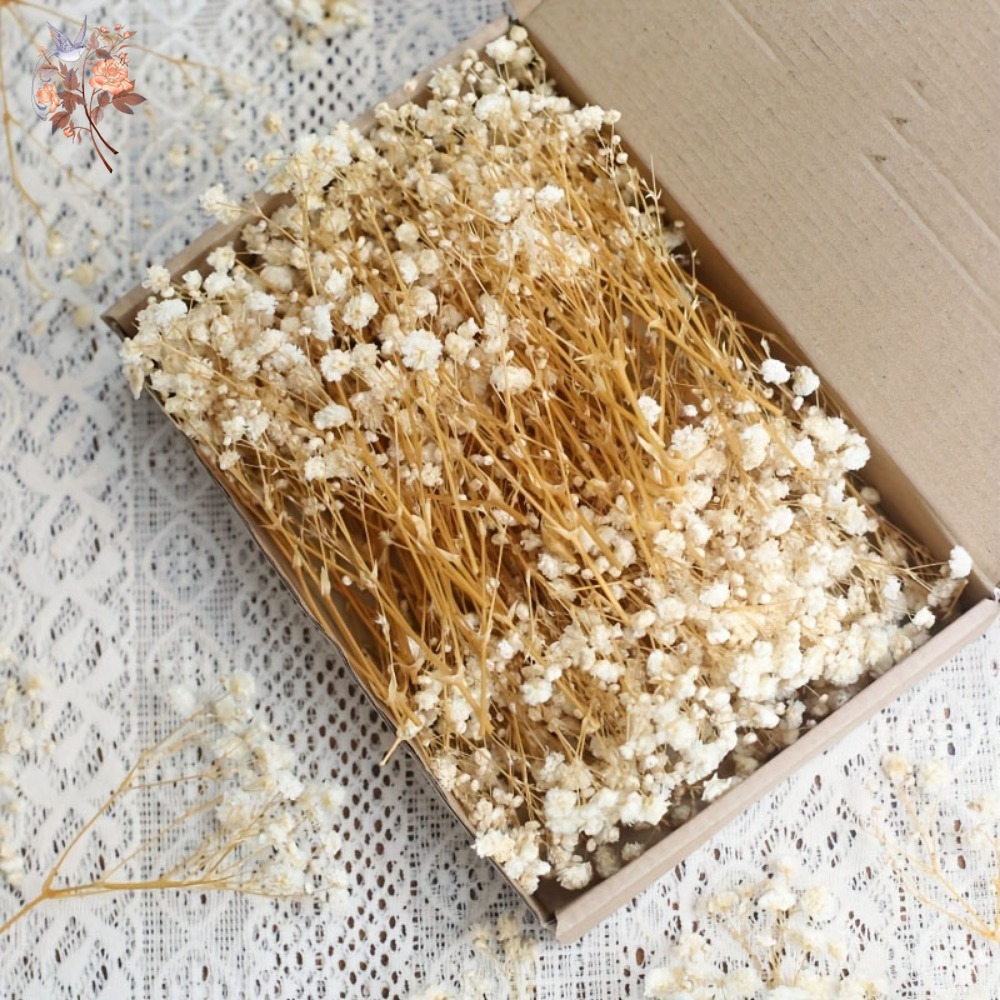 100 Pezzi Mini Fiori Secchi di - Dried Flower Bouquet recensione e prezzo