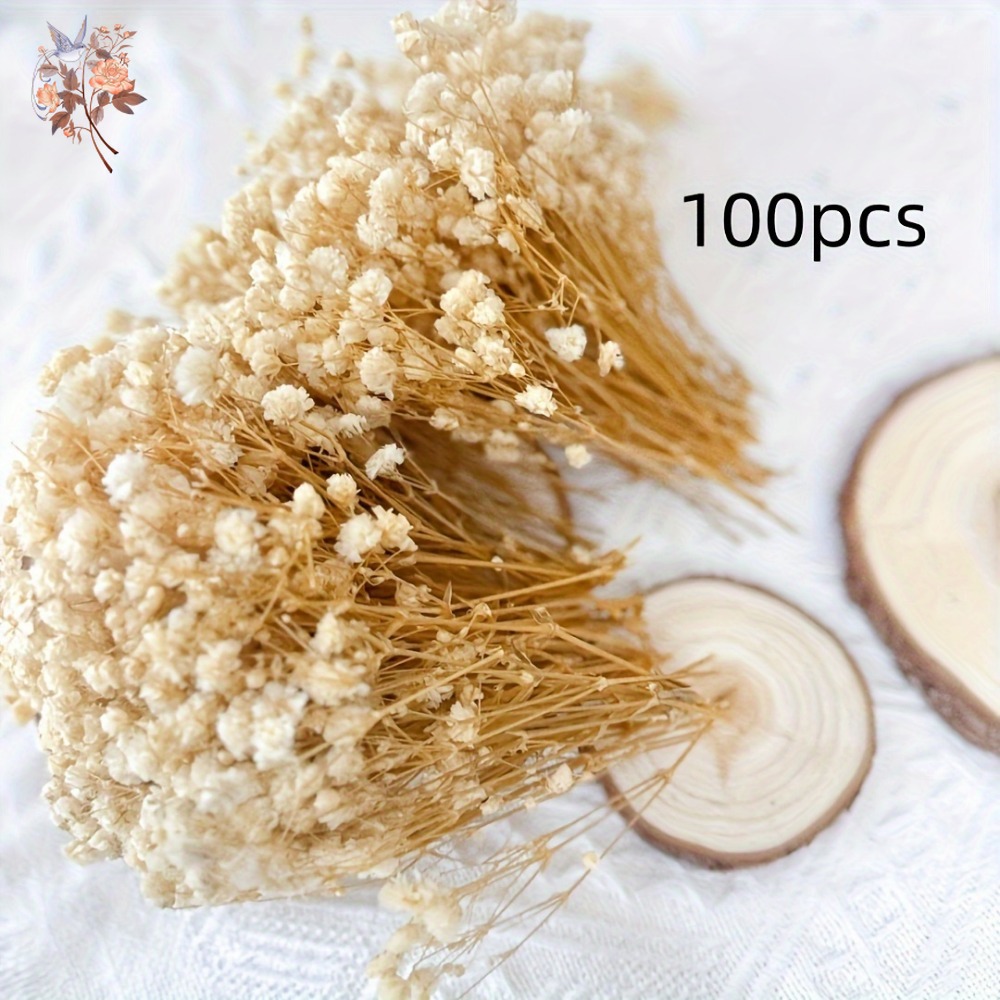 100 Pezzi Mini Fiori Secchi di - Dried Flower Bouquet recensione e prezzo
