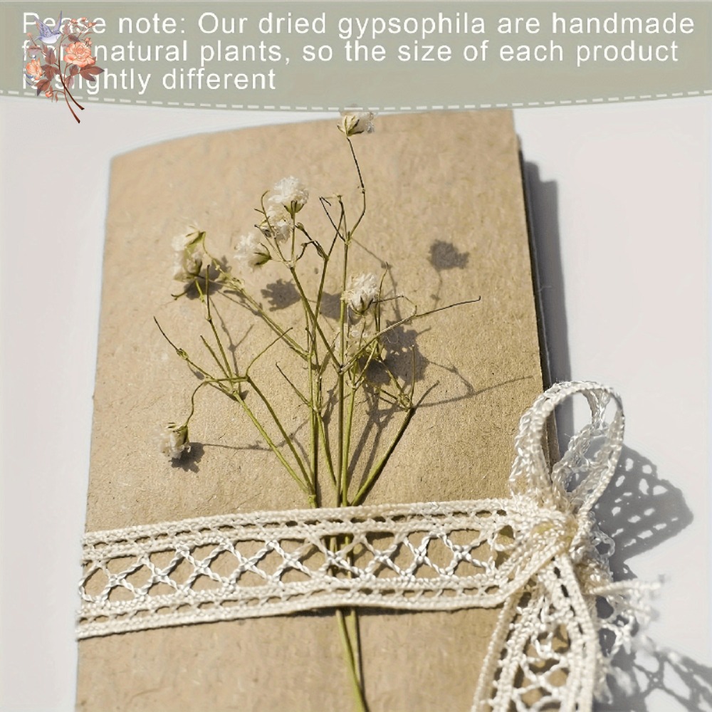 100 Pezzi Mini Fiori Secchi di - Dried Flower Bouquet recensione e prezzo